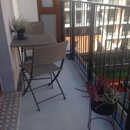Vivien Apartament Rakowicka * Krasków